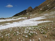 30 Attraverso a percorso libero i pascoli innevati-fioriti del Monte Campo